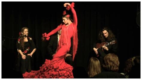  アレグリアス Flamencoの情熱が燃え盛る、力強いパッションと切ないメロディー